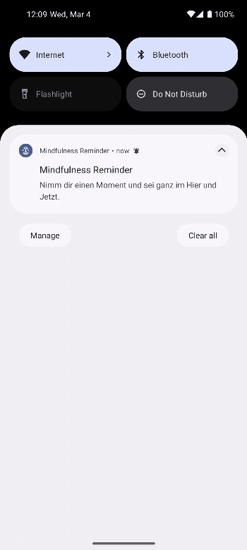 Mindfulness Reminder screenshot
