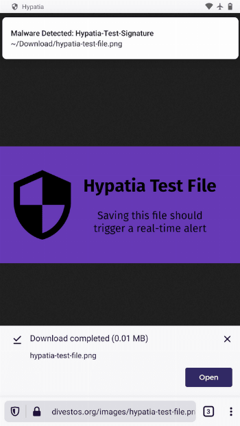 02-Detection.png